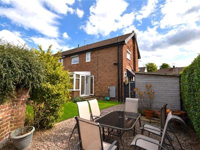 Picture 20